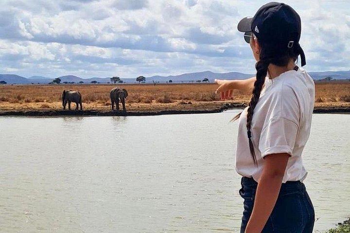 2 Days Best Safari to Mikumi National Park