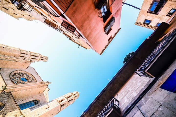 Discover the Gothic Quarter | Walking Tour | 2h