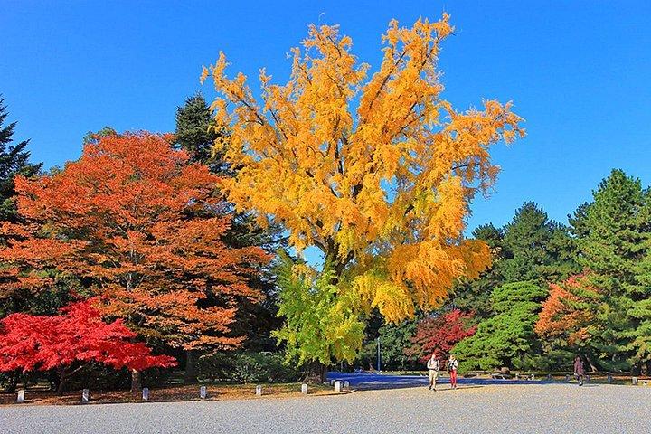 京都：プライベートe-bikeアドベンチャー：見どころは？ それともセレニティ?