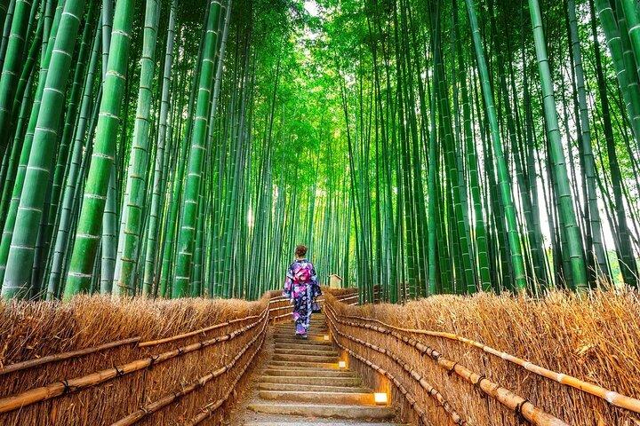 Arashiyama Bamboo Forest & Sanzen-in Temple Tour d'Osaka/Kyoto