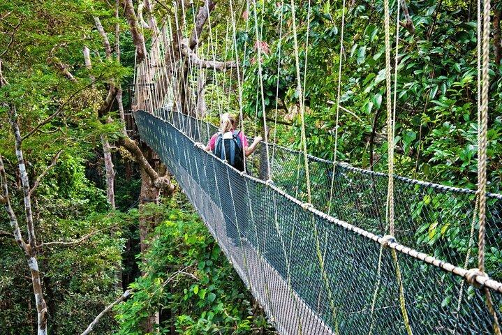 Au départ de Kuala Lumpur Excursion d'une journée à Taman Negara avec déjeuner