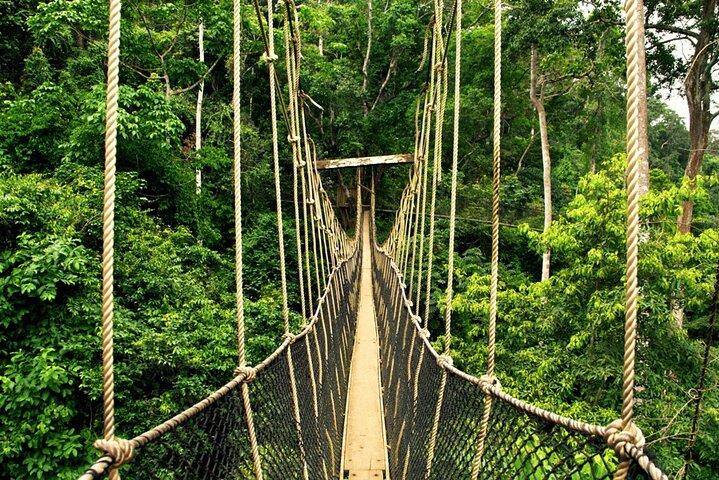 Au départ de Kuala Lumpur Excursion d'une journée à Taman Negara avec déjeuner