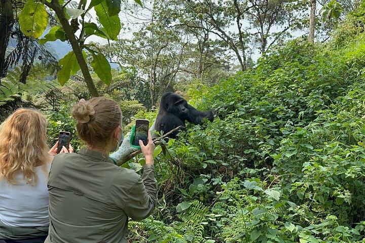 Hoteller i nærheden af Bwindi Impenetrable National Park