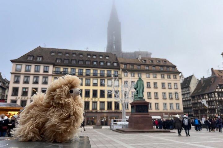 Estrasburgo Private Walking Tour