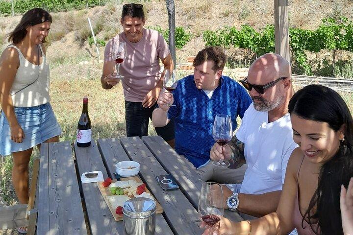 Tour Priorat a 3 piccole cantine e pick-up in hotel