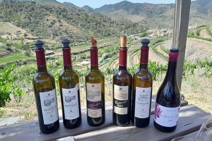 Tour Priorat a 3 piccole cantine e pick-up in hotel