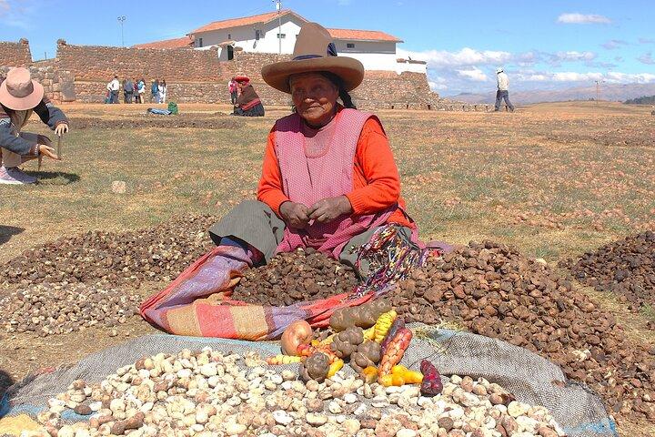 Minas de Sal Maras, Moray, Chinchero Desde Cusco