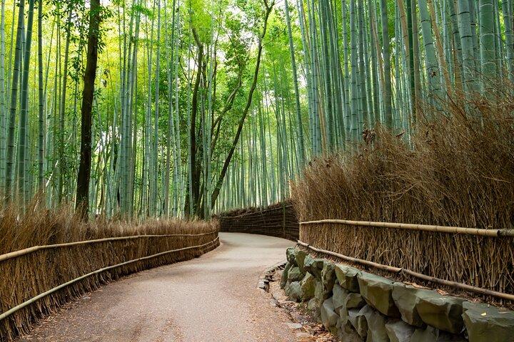 8 timer Arashiyama Monkey Park Ryoanji og Kinkaku ji Tour