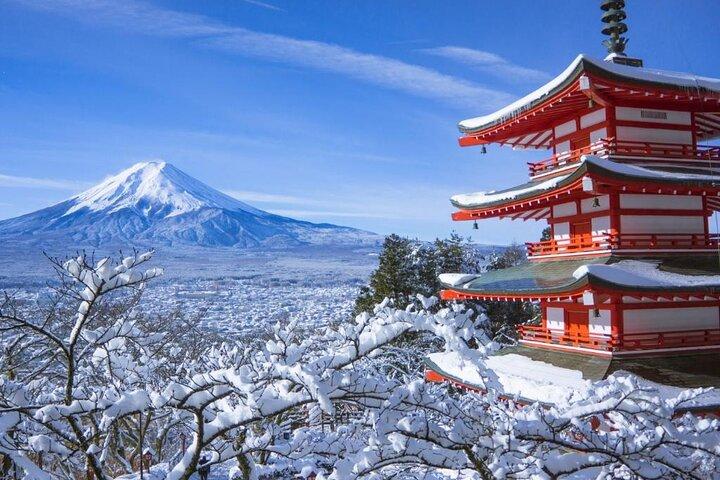 東京から富士山までプライベート往復1日ツアー