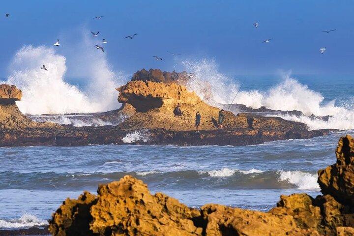 Full Day Trip To Essaouira