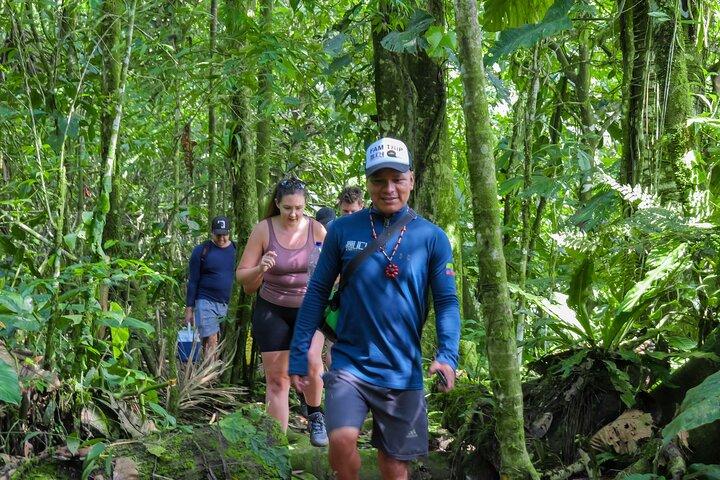 Retiro de bienestar de 2 días: tratamientos de spa y baños curativos en la jungla
