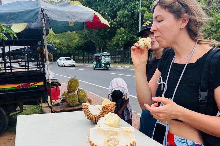 キャンディーシティのプライベート日帰りツアーで忘れられない体験