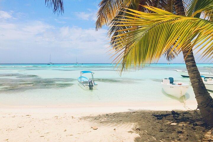 Tour in catamarano dell'isola di Saona da Bayahibe con piscina naturale