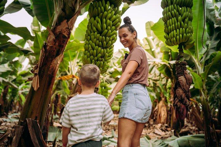 4 dagar All Inclusive djungeltur från Iquitos på Maniti Eco Lodge