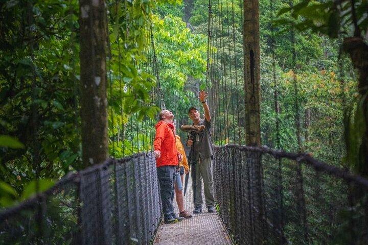 Tour di birdwatching al Parco Mistico