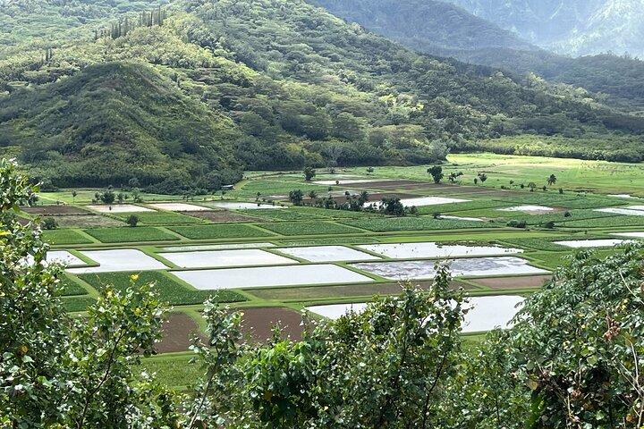 Visita guiada privada de la isla de Kauai desde Lihue