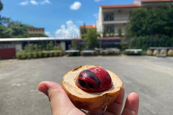 Excursão de meio dia Balik Pulau