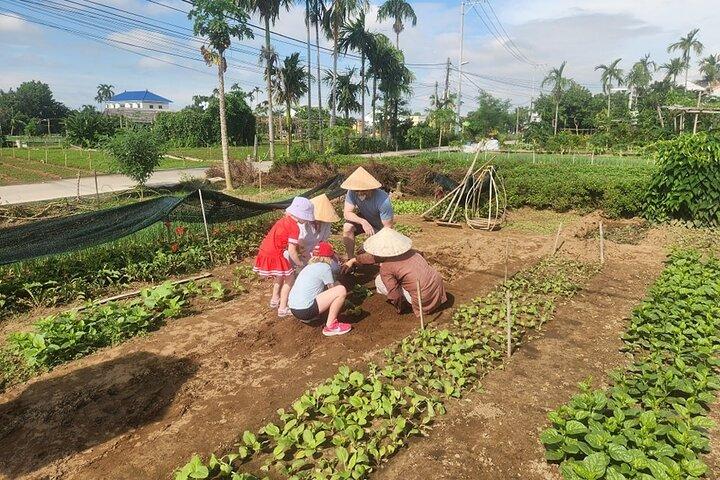 Hoi An Eco-Fishing, Buffalo Ride, Vegetable Farming, Autentisk lunch, Fotmassage