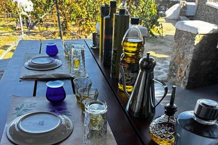 Degustación de aceite de oliva en la granja de Mykonian