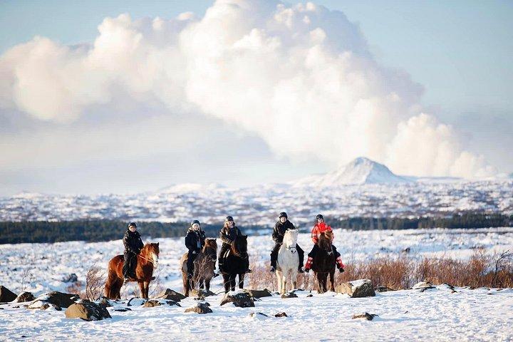アイスランド乗馬ツアー（レイキャビクからの送迎付き）