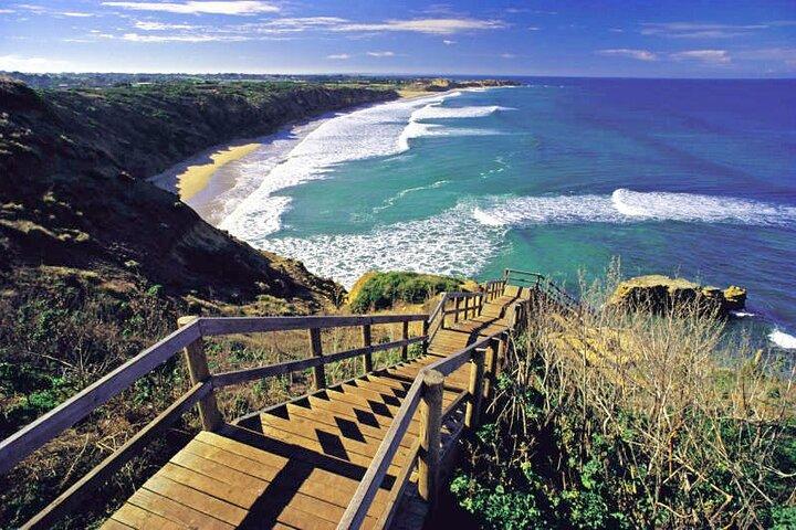 Great Ocean Road 12 apôtres Visite privée de luxe 5 PAX tout compris