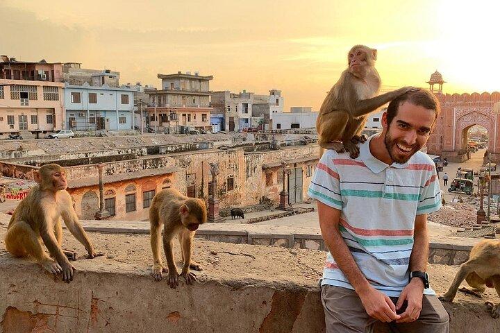 Jaipur privato intera giornata Visita in auto