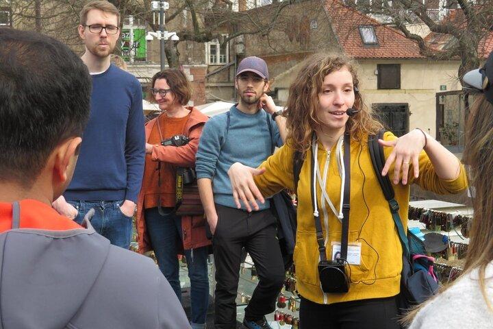 Classic Ljubljana Group Tour
