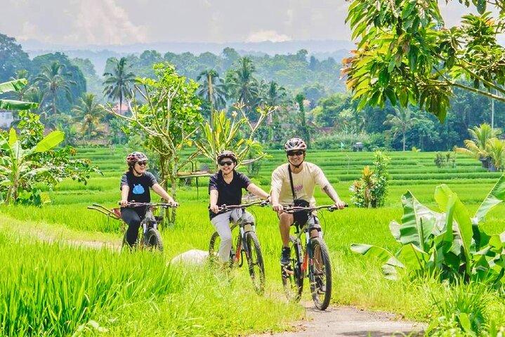 Tour in bicicletta in campagna da Sigiriya, Dambulla e Habarana