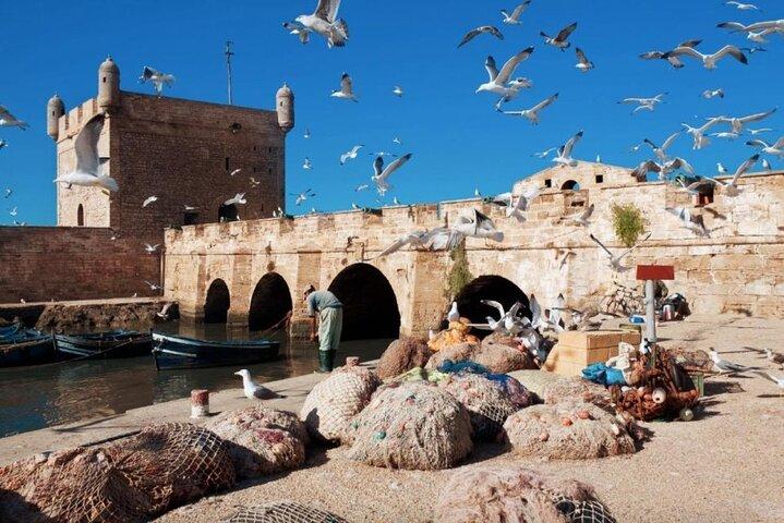 Essaouira Day Trip from Marrakech