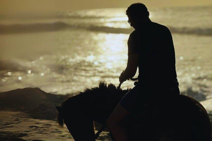 Afternoon Horseback Ride by the Beach in Aguadilla, Puerto Rico