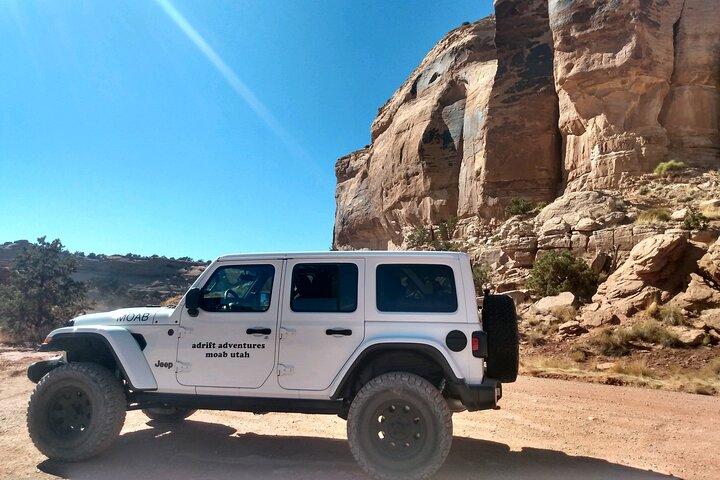 Tour di un giorno di Needles Canyonlands 4X4 Jeep Tour (minimo 3 persone)