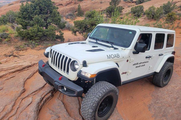 アーチーズ＆キャニオンランズNP日帰りツアー。 バックカントリー4X4ジープ