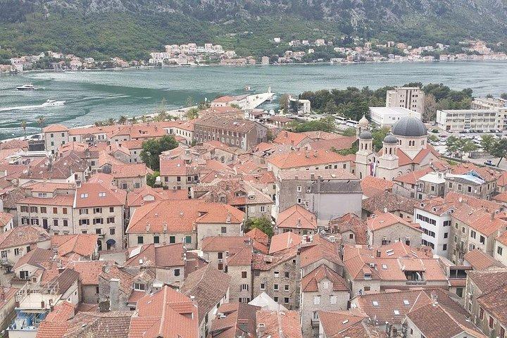 Kotor private walking tour & Gastro experience