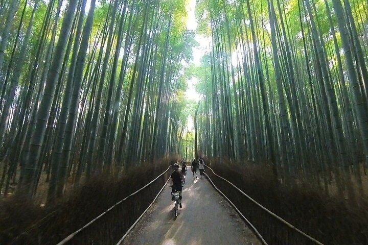 ONLY YOU IN THE Bamboo Forest! 地元の人と4時間のE-bikeツアー