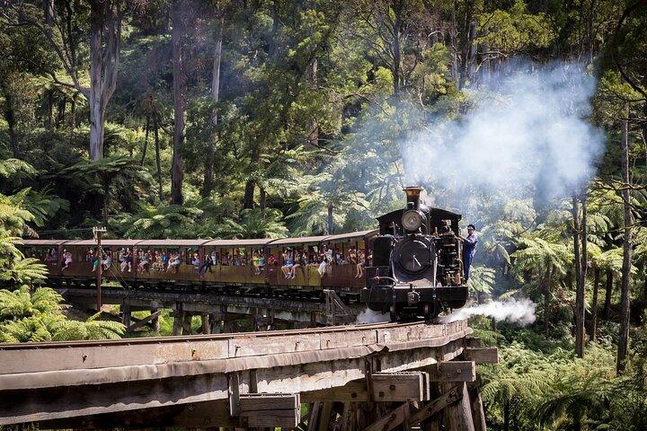 Melbourne Steam Train Penguin Island Tour de um dia
