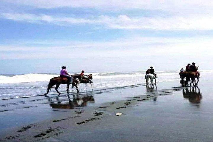 黒砂の乗馬体験 ビーチ バリ