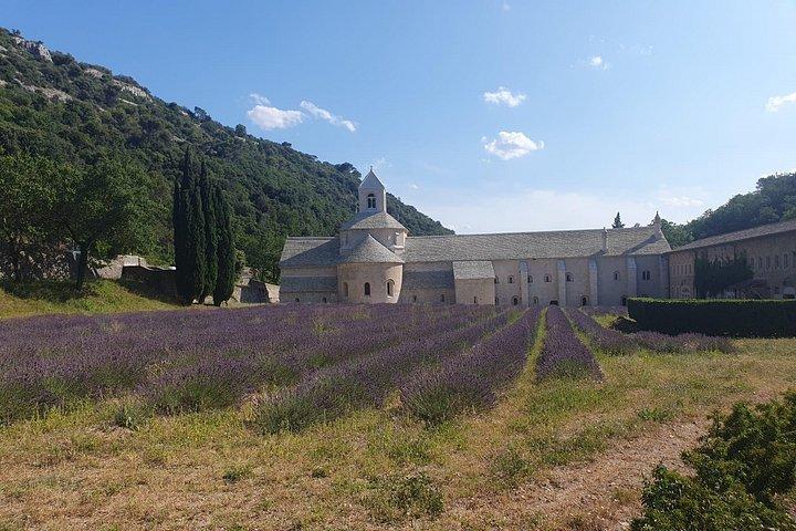 Lavender Tour Sault from Marseille