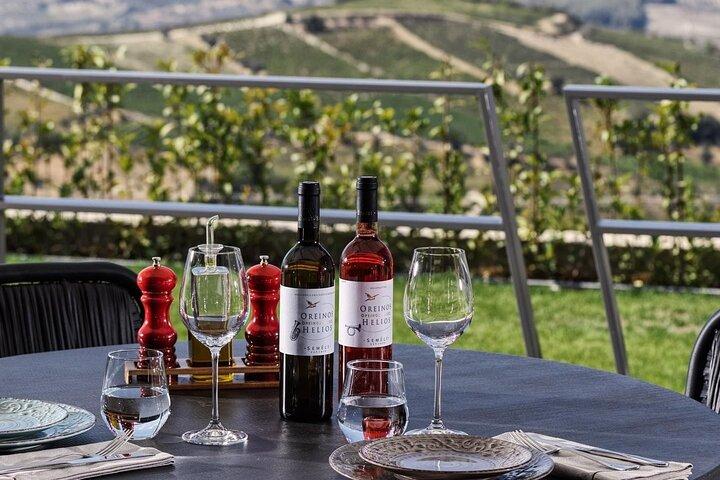 Scopri il Paese del Vino Greco: Degustazione di pasti e vini presso Wine Estate