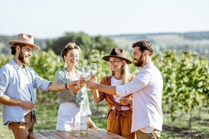 Visite privée de luxe: Ancienne Nemea & Top dégustation de vin
