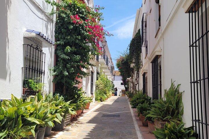 Tour a Mijas Marbella e Puerto Banús da Málaga Costa del Sol