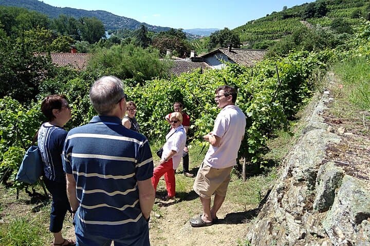 Côte Rôtie Private tour