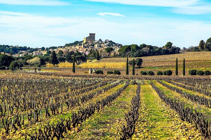 Private Experience - Two Days to Discover the Rhône Valley Wines