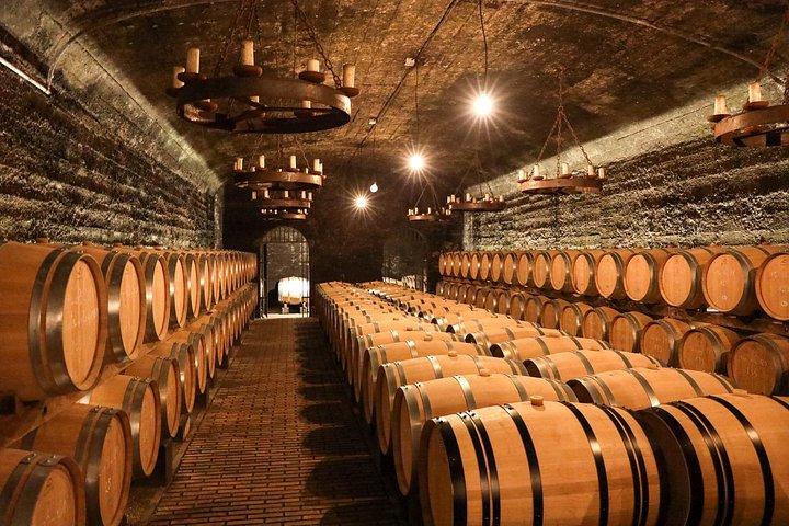 Private Experience - Two Days to Discover the Rhône Valley Wines