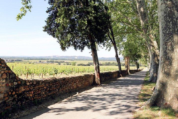 Private Experience - Two Days to Discover the Rhône Valley Wines