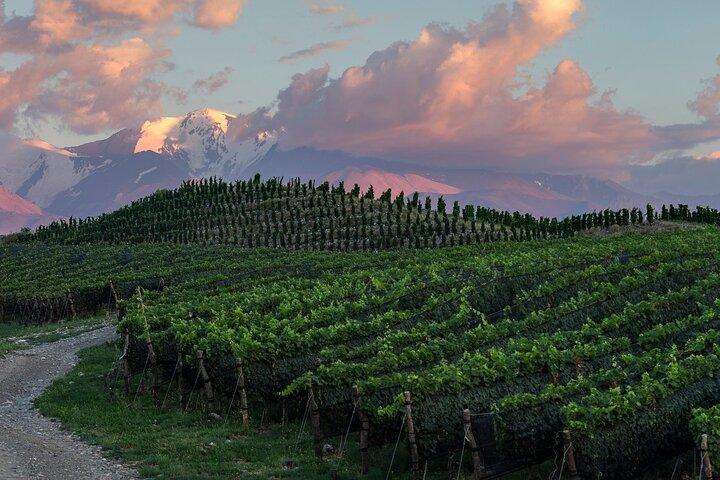 Recorrido por el legado de Zuccardi a través del mejor valle de Uco