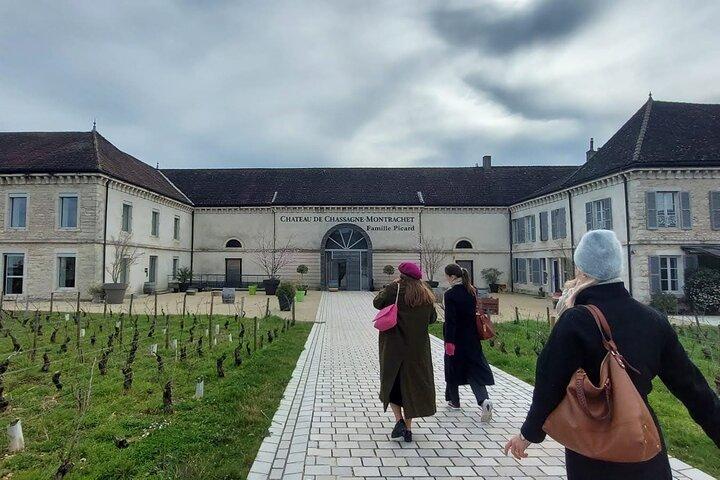 Privater Tagesausflug ab Lyon zu den Weinbergen von Beaune und Burgund