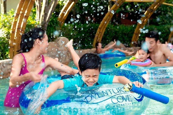 Téléphérique de Sentosa skyhelix cove waterpark ailes de transfert de spectacle
