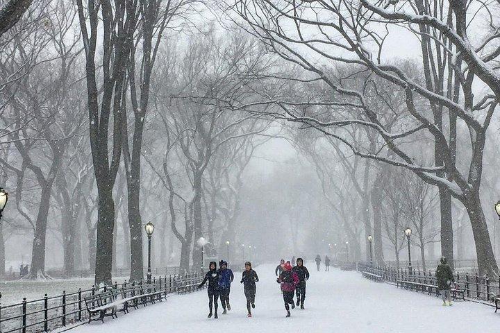 Central Park Highlights Running Tour