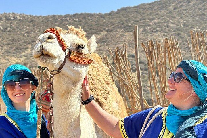 Sunset Camel Ride tour with Barbecue dinner in the beach