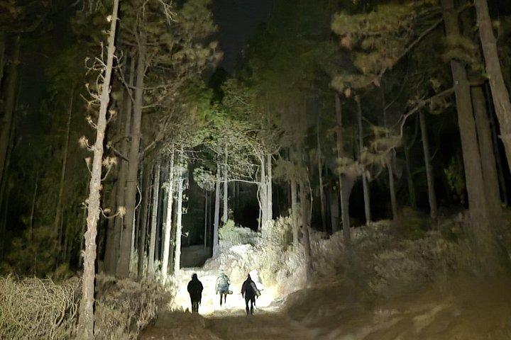 ロケ・ヌブロ山脈の夕日ハイキングと星空体験
